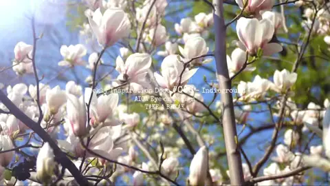 冠卡视频封面