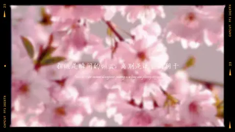 冠卡视频封面