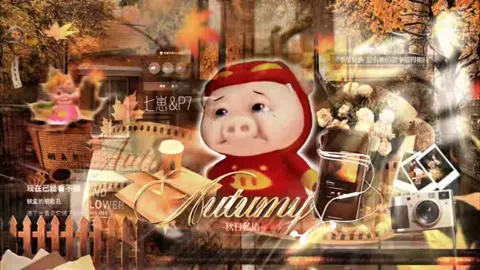 冠卡视频封面