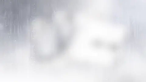冠卡视频封面
